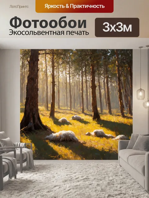 Фотообои утро: глубокий лес с высокими деревьями