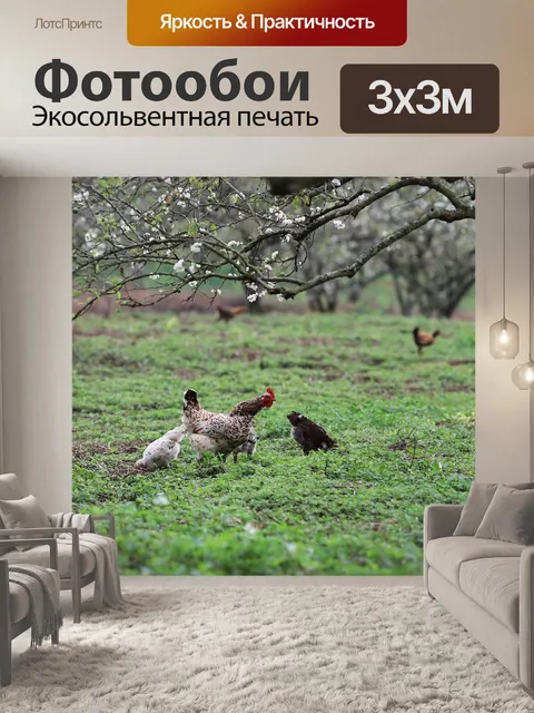 Фотообои Сад