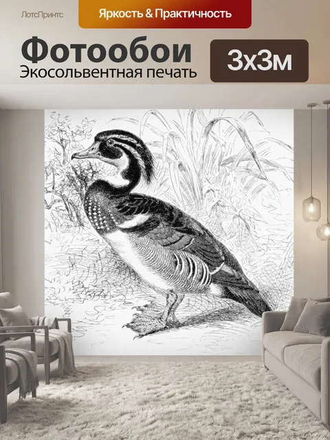 Фотообои Деревянная утка