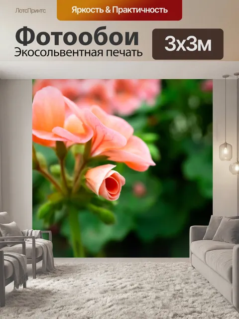 Фотообои Цветы