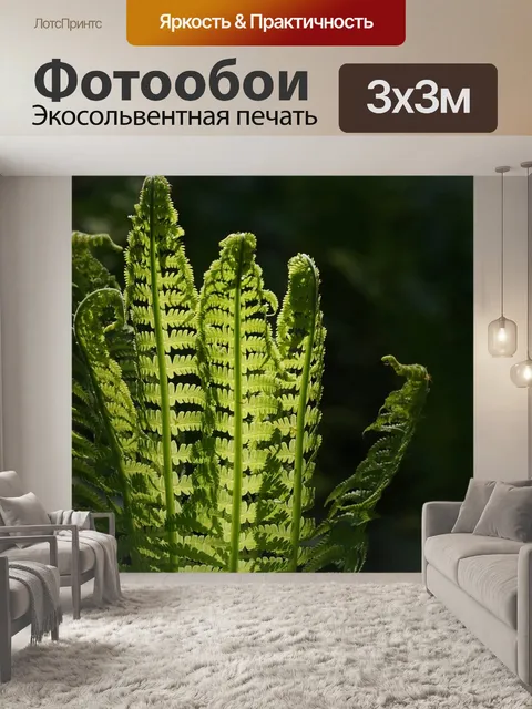 Фотообои Папоротник