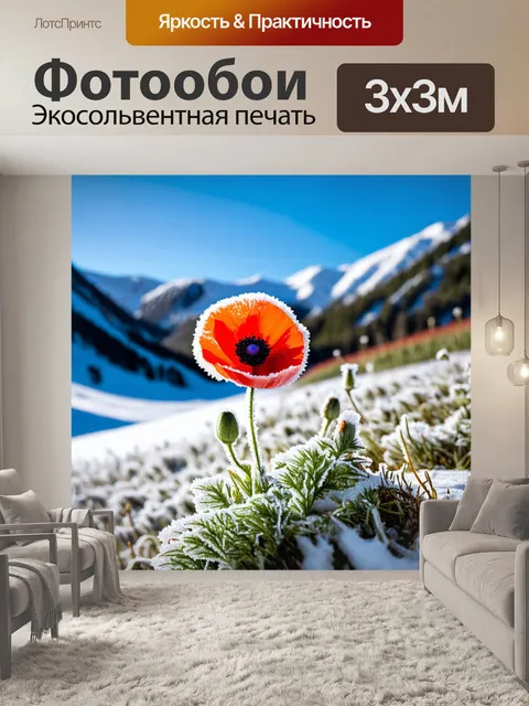 Фотообои с маком, застывшим на фоне заснеженных гор, создание контраста между теплым цветом лепестков и холодом снега