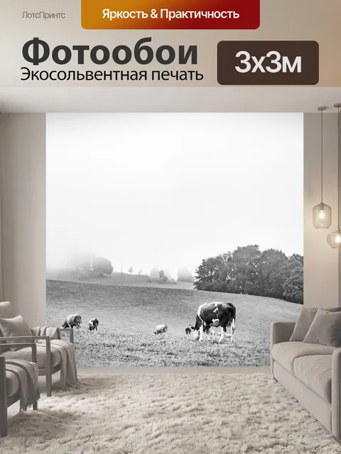 Фотообои Туман