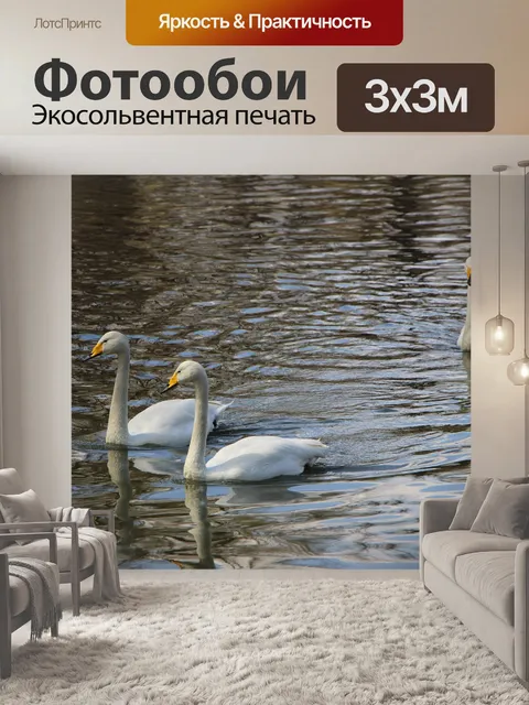 Фотообои Птица