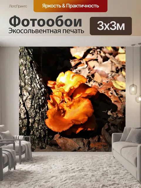 Фотообои Джек-О-Фонарь Грибы в Листьях