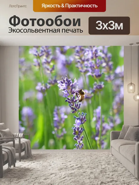 Фотообои Лаванда