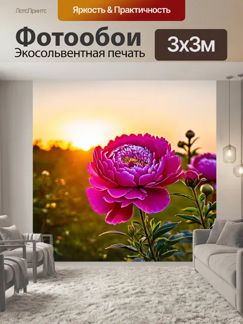 Фотообои цветы пиона на фоне заката