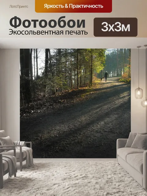 Фотообои Лес