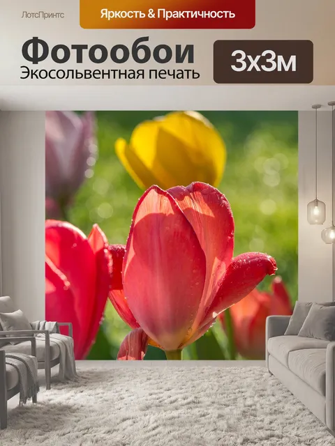Фотообои Тюльпаны