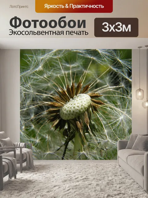 Фотообои Одуванчик