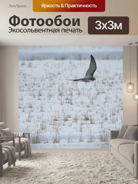 Фотообои Зима