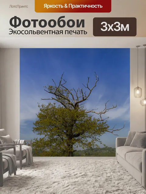 Фотообои дерево