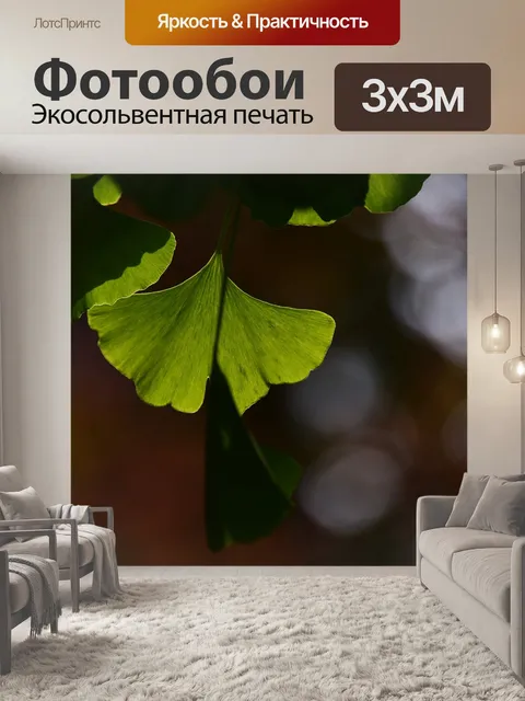 Фотообои Листья