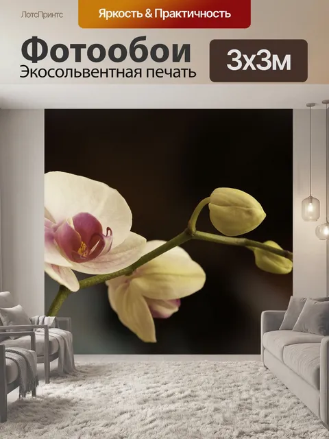 Фотообои Цветок