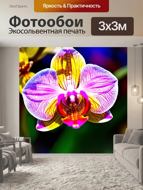 Фотообои крупный план цветущей орхидеи, лепестки которой играют на свету, создавая эффект радуги