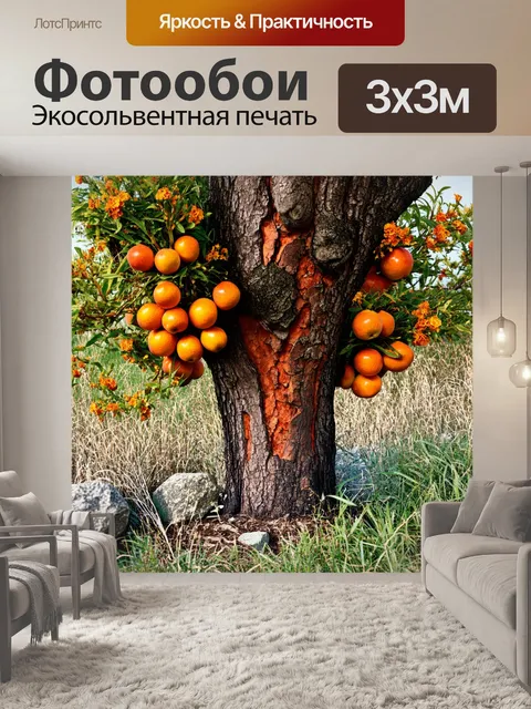 Фотообои дерево с оранжевыми плодами и цветами, окружённое рядышком растущими травами и шершавыми камнями