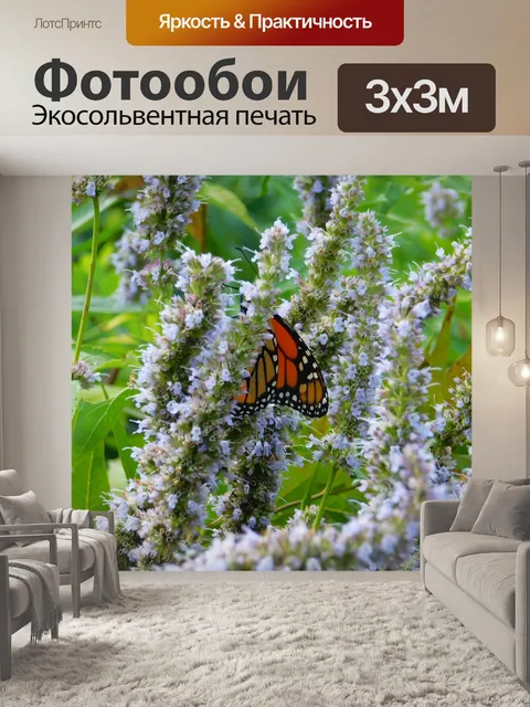 Фотообои Бабочка