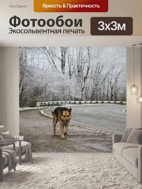 Фотообои Собака