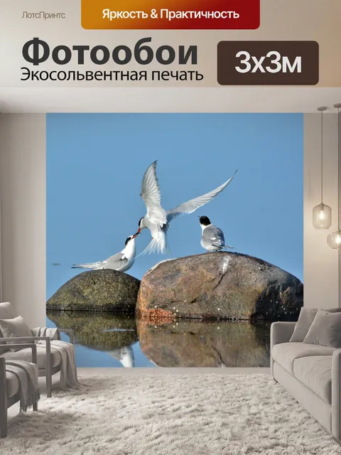 Фотообои Птицы