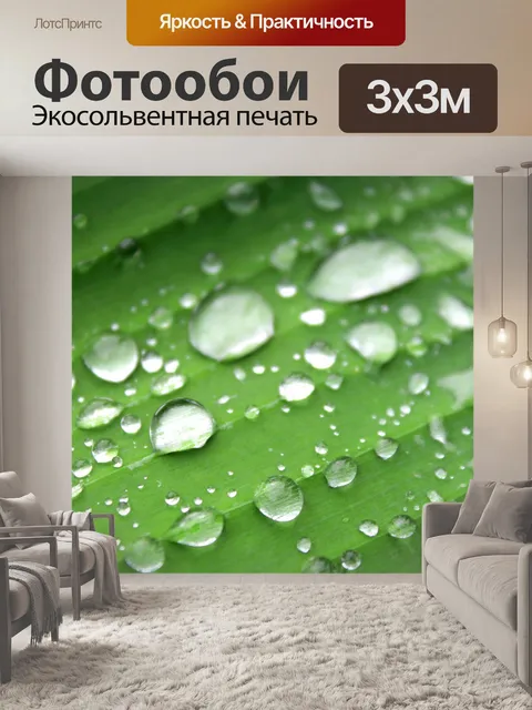 Фотообои Лист банановый