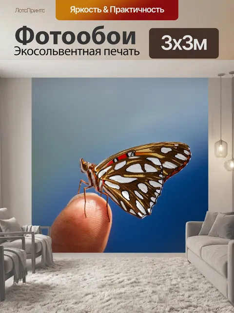 Фотообои Бабочка