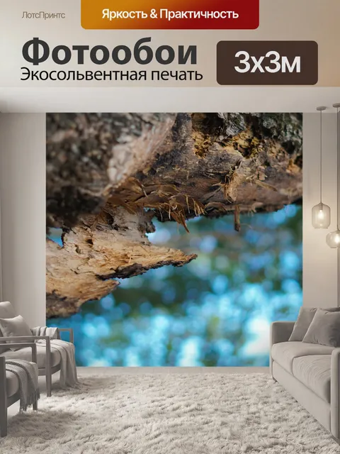 Фотообои Большое дерево