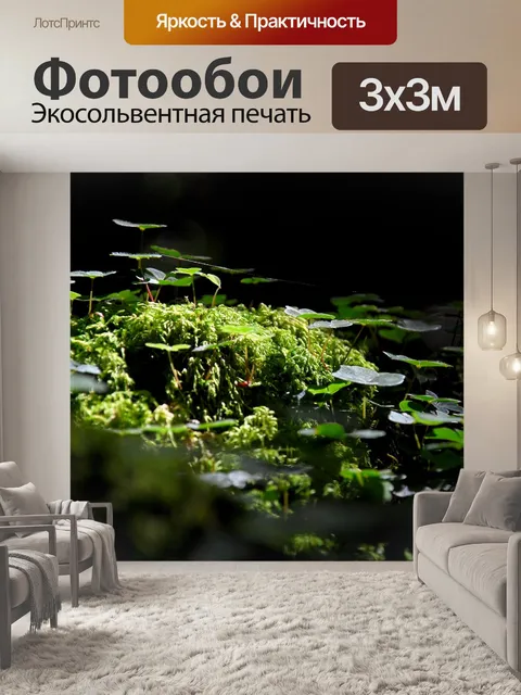 Фотообои Природа