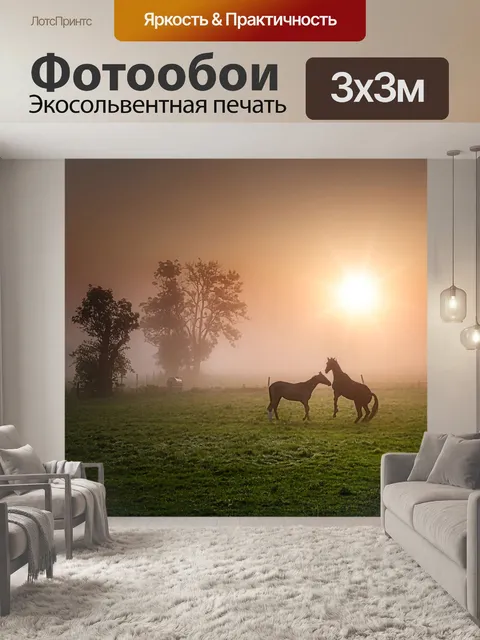 Фотообои Лошади