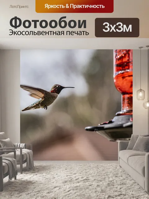 Фотообои Колибри в полете