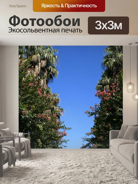 Фотообои противоположные деревья, парк в Претории