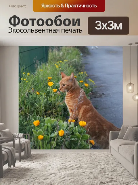 Фотообои Кошка