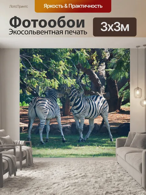 Фотообои взаимодействие двух зебр