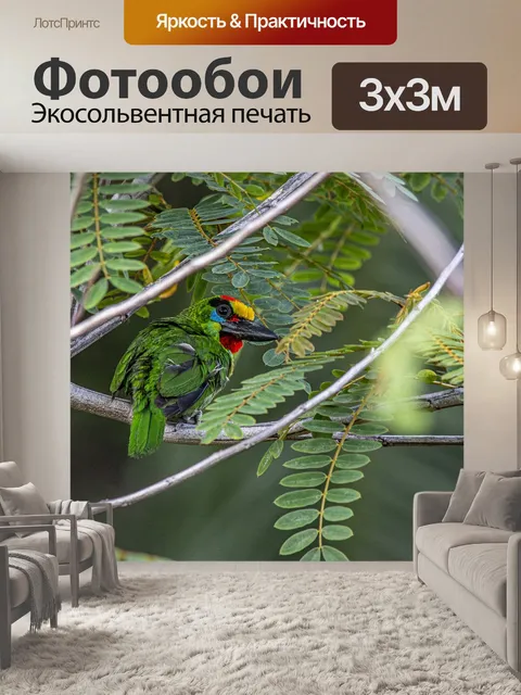 Фотообои Птица