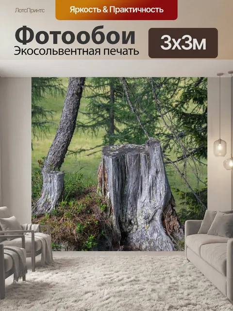 Фотообои Лес