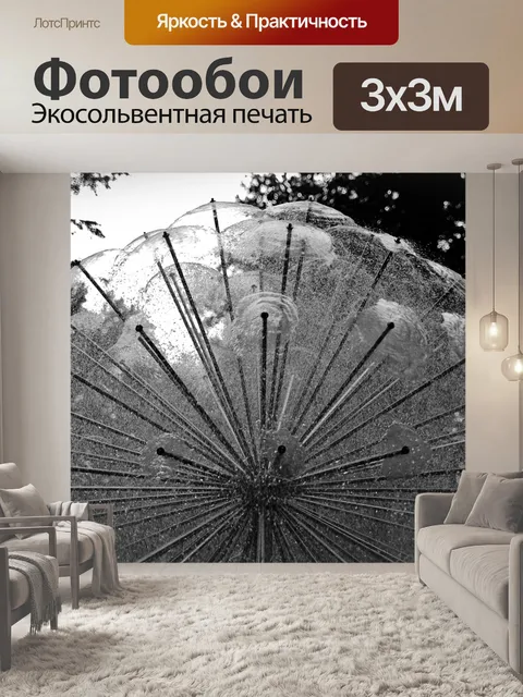 Фотообои Черное и белое