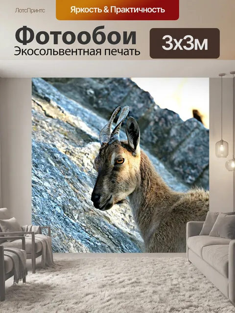 Фотообои Козел