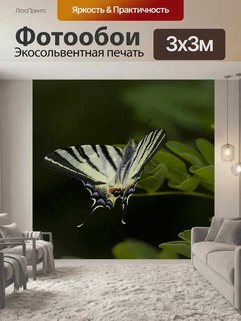 Фотообои Бабочка
