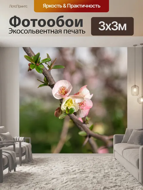 Фотообои Роза