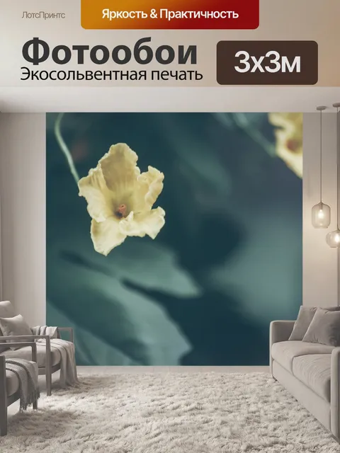Фотообои Макрос