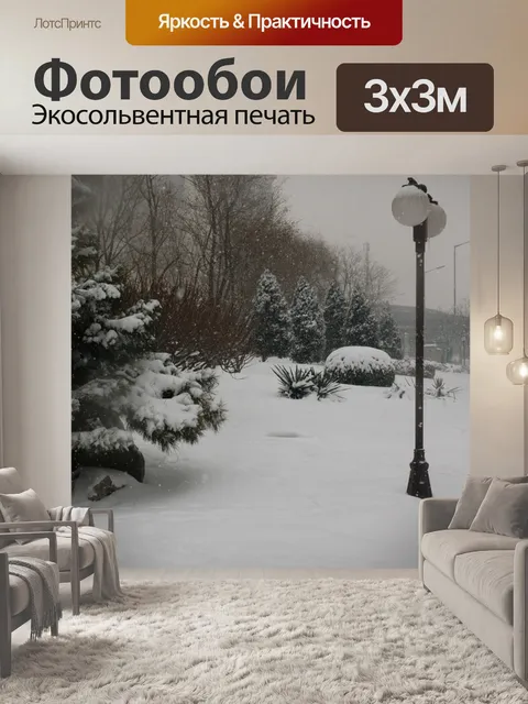 Фотообои Снег в Пекине