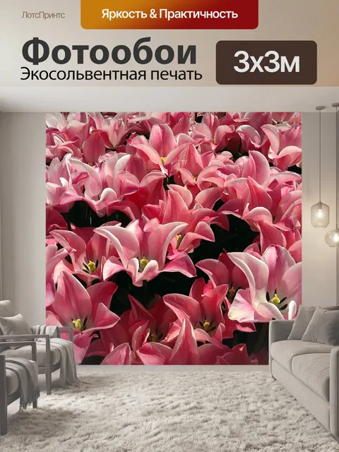 Фотообои Тюльпаны