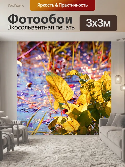 Фотообои Болото
