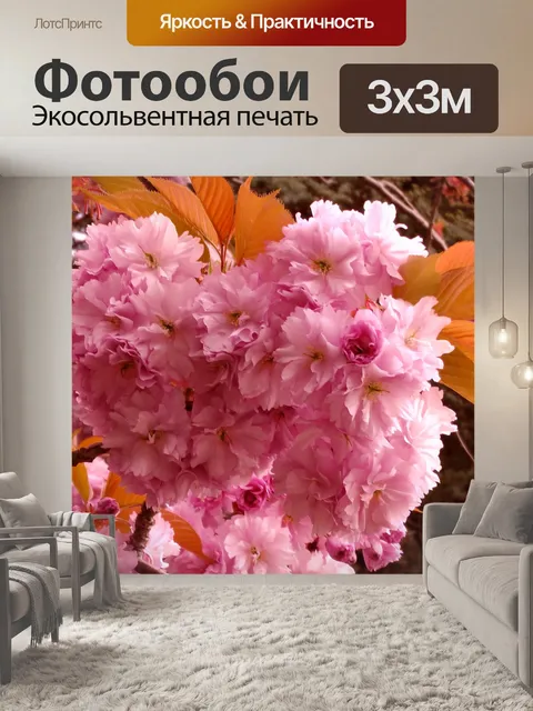 Фотообои Cherry Blossom Tree