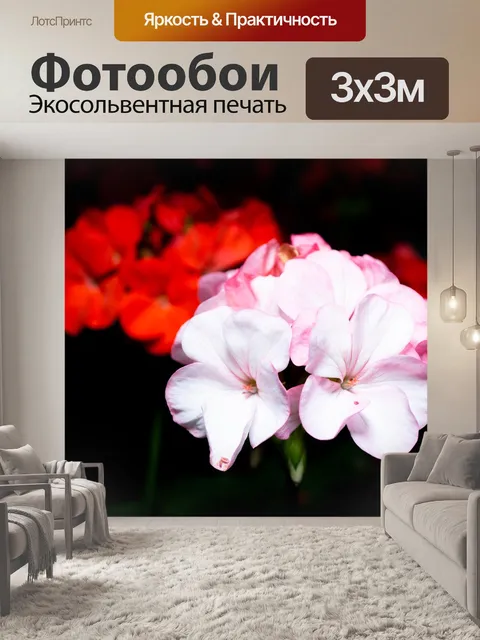 Фотообои Цветы