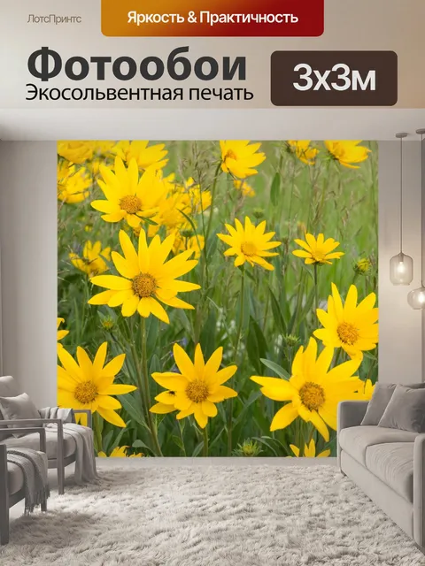 Фотообои Цветы