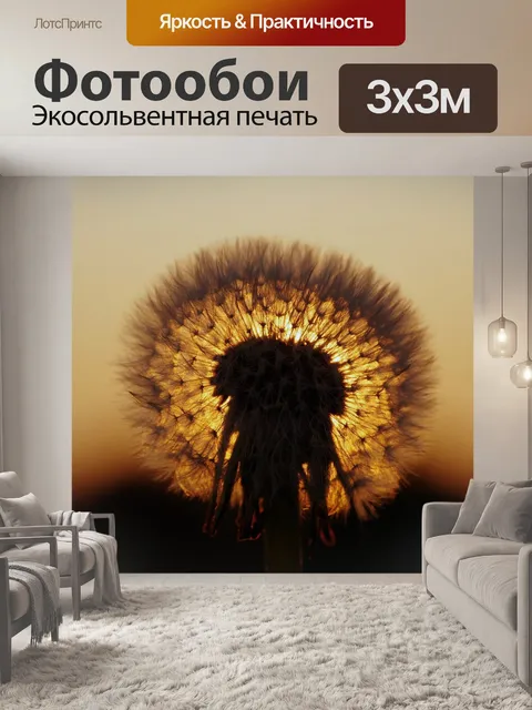 Фотообои Одуванчик