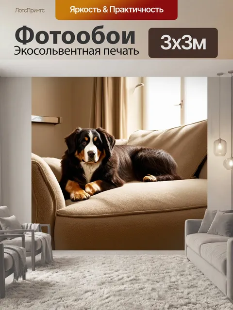 Фотообои уютный домашний интерьер с бернским зенненхундом, уютно устроившимся на мягком диване