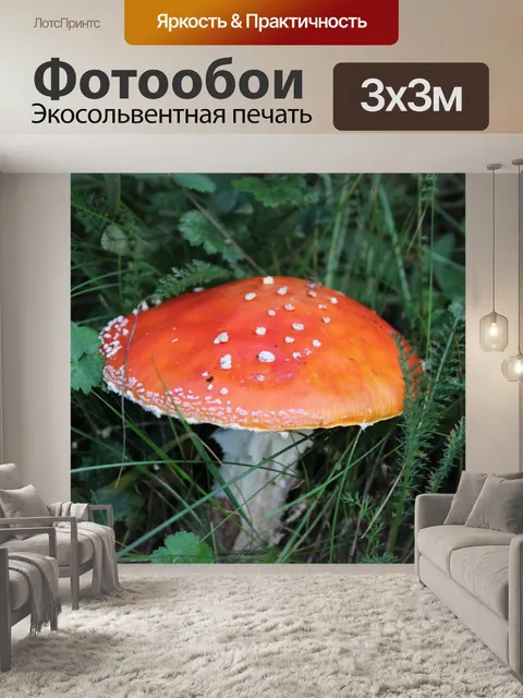 Фотообои Лес
