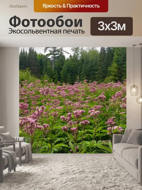 Фотообои Цветы