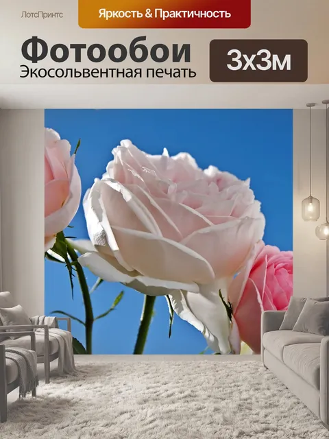 Фотообои Розы